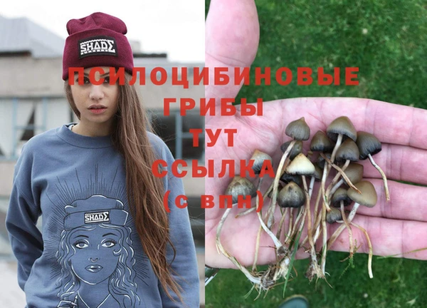 тгк Армянск