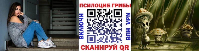 Галлюциногенные грибы прущие грибы  Купить где  Полярный 